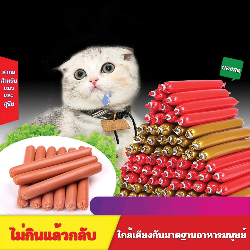 ไส้กรอกสัตว์เลี้ยงพร้อมทาน ไส้กรอกสุนัขแมว ขนมแมวเลีย แมวเลีย อาหารแมวเลีย รสไก่ / ปลาคอด / ทูน่า 15g cat ชอบมาก