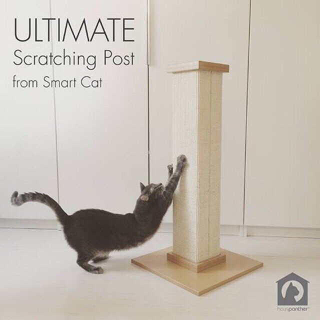 SmartCat The Ultimate Scratching Post เสาลับเล็บแมว Shopee Thailand