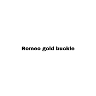 New boyy romeo gold buckle