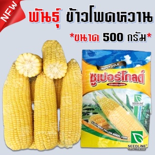 เมล็ดพันธุ์ ข้าวโพดหวาน ซุปเปอร์โกลด์ 500 กรัม 200 กรัม ตราซีดไลน์ Sweet ซูเปอร์โกลด์ (Super Gold) ข้าวโพดหวานลูกผสม