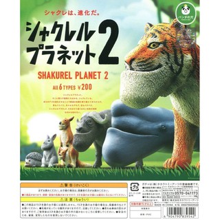 Gashapon Shakurel Planet 2 – กาชาปอง สัตว์คางยื่น เสือ ปลาวาฬ จิงโจ้ กระต่าย เม่น ชากรูเรียว แพลนเน็ท 2