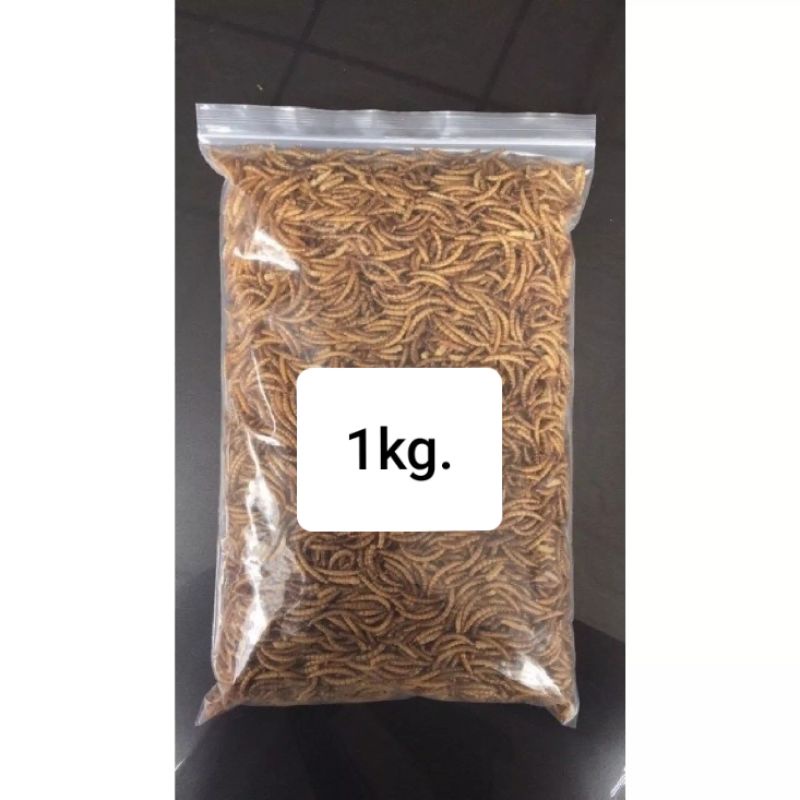 หนอนนก หนอนนกอบแห้ง 1Kg. อาหารหนูแฮมสเตอร์ อาหารนก อาหารแพรี่ด็อก อาหารไก่ อาหารปลา ปลาสวยงาม อาหารกระรอก เม่นแคระ