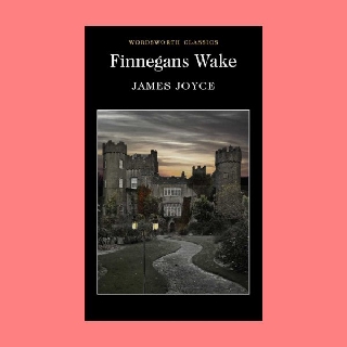 หนังสือนิยายภาษาอังกฤษ Finnegans Wake มโนสำนึกของฟินเนกัน fiction English book