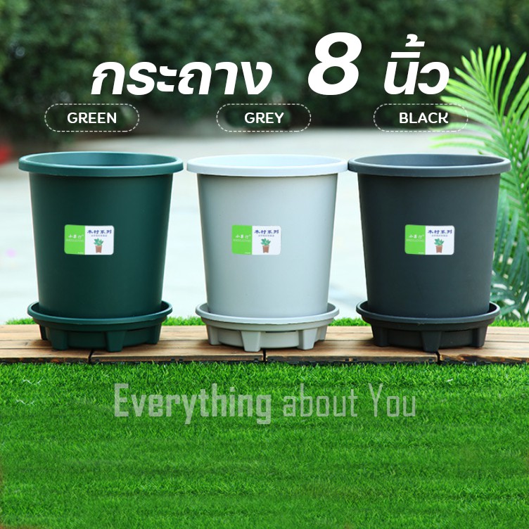 🪴 กระถางต้นไม้พลาสติก ขนาด 8 นิ้ว สูง 5.5 นิ้ว
