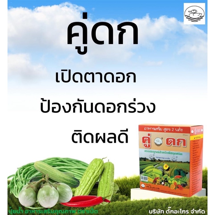 คู่ดก เร่งออกดอก ติดผล ขยายลูก เพิ่มน้ำหนัก - รูปที่ 3