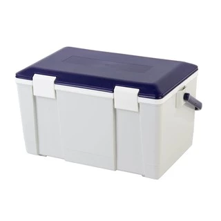 Everest Cooler Box กระติกน้ำแข็ง ถังแช่อเนกประสงค์ ขนาด 20ลิตร รุ่น AG2520-Grey/Blue