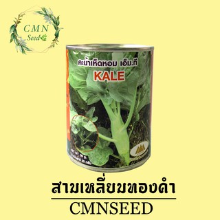 เมล็ดพันธุ์ คะน้าเห็ดหอม kale 30 g.กระป๋อง