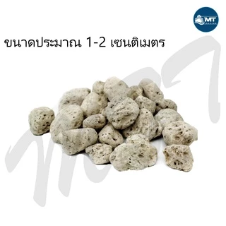 หินพัมมิส หินภูเขาไฟ สำหรับกรองน้ำบ่อปลา พร้อมถุงตาข่าย ขนาด 1 กิโลกรัม