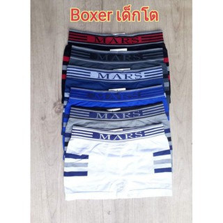 Boxer บ็อกเซอร์ ( เด็กโต )