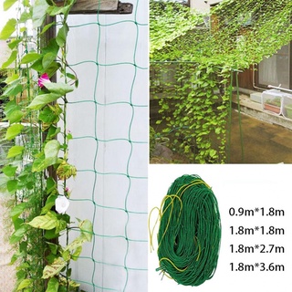 GORGEOUS~Plant Climbing Net Nylon Plant Creeper Net Plant Grow Fence 1.8m/2.7m/3.6m