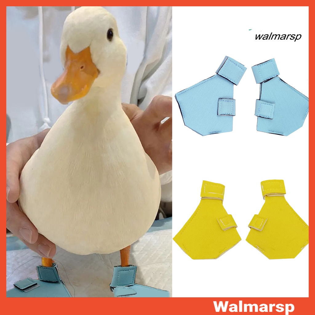 Walmarsp รองเท้าป้องกันเป็ด ระบายอากาศ สวมใส่สบาย สําหรับโรงพยาบาล 1 คู่