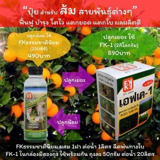 ปุ๋ยสำหรับส้ม ปุ๋ยน้ำบำรุงส้ม ปุ๋ยส้ม ปุ๋ยน้ำสำหรับส้ม สายพันธุ์ต่างๆ ปลูกเยอะใช้ FK-1 ปลูกน้อยใช้ FKธรรมชาตินิยม