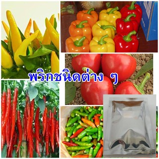 เมล็ดพริกชนิดต่าง ๆ จำนวน 1 ซอง