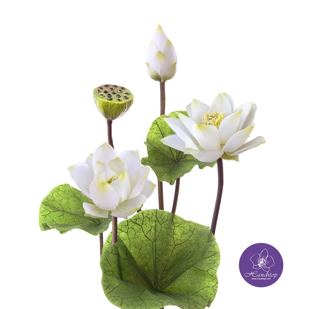 Handitop ผู้ผลิตและจำหน่ายดอกบัวหลวง ดอกบัวปลอม ขนาดใหญ่ใกล้เคียงดอกจริง จำนวน 1 ชุดพร้อมฝักบัว