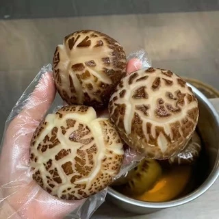 เห็ดหอม ดอกขาวญี่ปุ่นAAAAA5（日本白花菇AAAAA5）เห็ดดอกไม้อุดมไปด้วยวิตามินดี แร่ธาตุ และกรดอะมิโนหลายชนิด