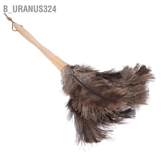 B_uranus324 Feather Duster Light Weight Soft Long Handle Reusable Black Ostrich for Home Office Car