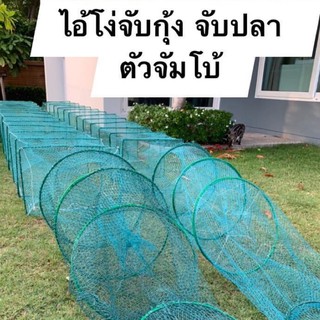 ไอ้โง่ไต้หวัน 🅰️ จับกุ้ง จับปลา 📌ตัวจัมโบ้ใหญ่สุด ยาว 8 เมตร