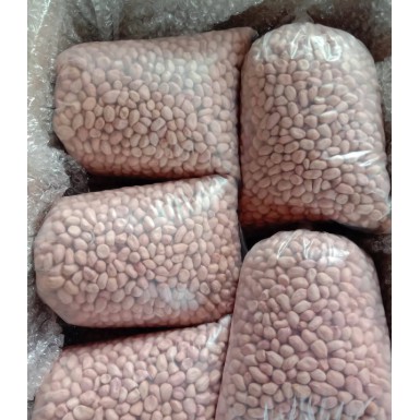 ถั่วลิสงถั่วลิสง   สำหรับทำเมล็ดพันธุ์และเพาะงอก 1 K.-Tainan9 Peanuts Seed  (For Growth & Sprout)