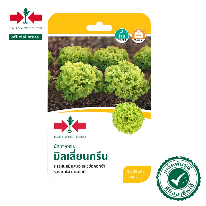 ศรแดง เมล็ดพันธุ์ผักสลัด มิลเลี่ยน กรีน (East-West Seed) เมล็ดพันธุ์ ผักสวนครัว ตราศรแดง