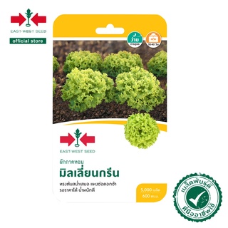 ศรแดง เมล็ดพันธุ์ผักสลัด มิลเลี่ยน กรีน (East-West Seed) เมล็ดพันธุ์ ผักสวนครัว ตราศรแดง