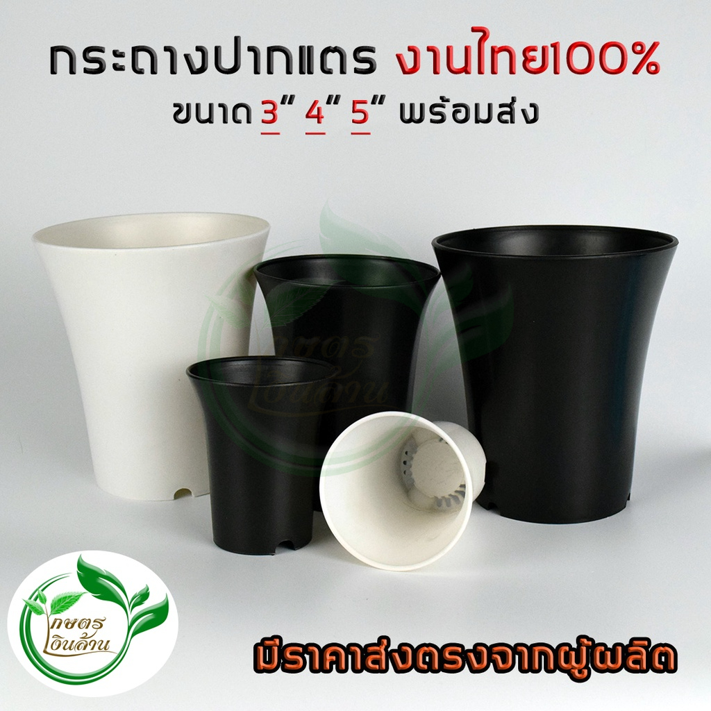 [แตกแคลมทันที]กระถางปากแตร 3,4,5 นิ้ว พรีเมี่ยม สวย ทน(งานไทย เงาสวย ไม่กรอบ) By.คิม เกษตรเงินล้าน