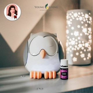 เครื่องกระจายกลิ่น Young Living Feather The Owl Diffuser วัสดุพรีเมียมที่สุด