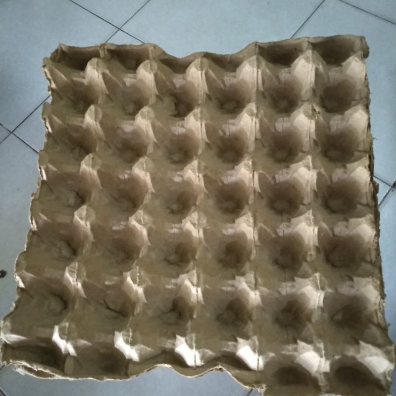 EGG SHELL/EGG BOARD 1KG (12 แผ่น)