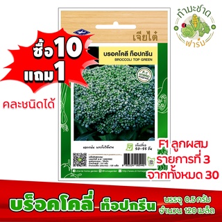 (ซื้อ10แถม1) เมล็ดพันธุ์ บร็อคโคลี่ ท็อปกรีน Broccoli top green ประมาณ 120เมล็ด เจียไต๋ เมล็ดพันธุ์พืช เมล็ดพันธุ์ผัก