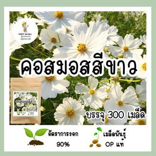 เมล็ดพันธุ์คอสมอสสีขาว 300เมล็ด