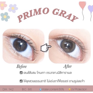 คอยแทคเลนส์รายเดือน รุ่น Primo Gray bylensland