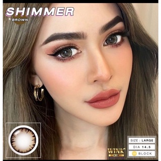 Wink Shimmer Heaven Gray Brown Black 💋 รายเดือน มีอย แถมตลับฟรี  ฝาดำ