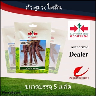 เมล็ดพันธุ์ ผักซองศรแดงถั่วพูสีม่วงม่วงไพลิน