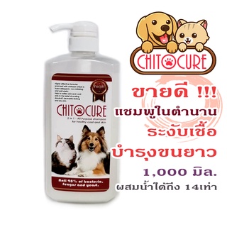 Best seller! 1000มิล.Chitocureชิโตเคียวร์แชมพูสุนัขแชมพูแมวทูอินวันขนยาวหนาขึ้น ลดกลิ่นตัวลดขนร่วง กำจัดเชื้อ