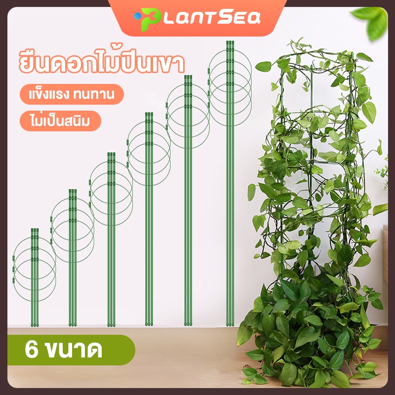 กรงพืช เสามะเขือเทศ ซุ้มไม้ ทรงต้นไม้ 3pcs ไม้เลื้อย ทรงพุ่ม โครงเถาวัลย์ โครงปลูก แบบทนทาน อุปกรณ์สำหรับพืชไม้เลื้อย