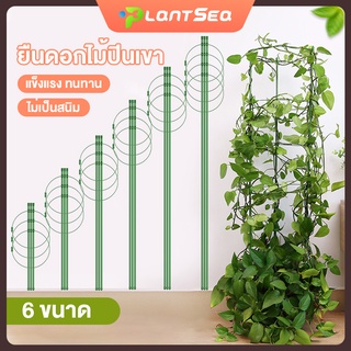 กรงพืช เสามะเขือเทศ ซุ้มไม้ ทรงต้นไม้ 3pcs ไม้เลื้อย ทรงพุ่ม โครงเถาวัลย์ โครงปลูก แบบทนทาน อุปกรณ์สำหรับพืชไม้เลื้อย
