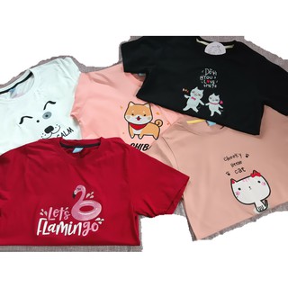 พร้อมส่ง เสือยืดงานปัก ลายน่ารักๆ