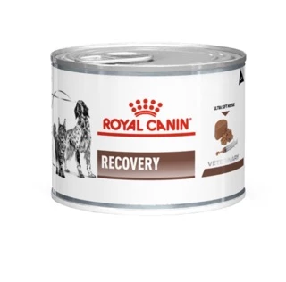 Royal Canin Recovery can 195g อาหารกระป๋องสำหรับสุนัขและแมวป่วย พักฟื้นหลังผ่าตัด