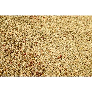 PS--Small Peaberry Dark Roast 1,000g. พีเบอรี่เล็กคละ คั่วเข้ม ส่งไว คั่วสดใหม่ตลอด