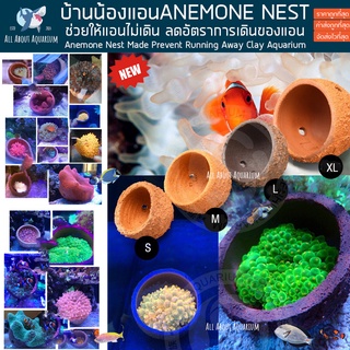 Anemone Nest บ้านแอนนิโมน ลดการเดินของแอน ใช้ได้กับแอนทุกชนิด บ้านปะการัง บ้านแอน ปลาทะเล วัสดุธรรมชาติ coral reef ปลา