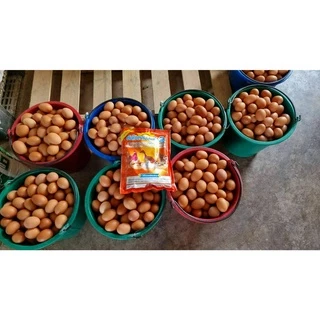 ซันไวตามินพลัส2(1ซองจำนวน1กิโล)บำรุงการออกไข่ของสัตว์โดยเฉพาะไก่ไข่,เป็ดไข่,นกกระทาไข่