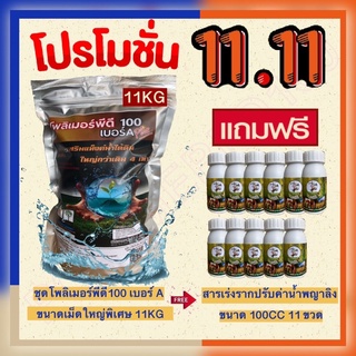 สารอุ้มน้ำโพลิเมอร์พีดี100 ขนาดเม็ดใหญ่พิเศษ 11กก แถมฟรี สารเร่งรากพญาลิงขนาด 100ซีซี 11ขวด ใช้กับพืชทุกชนิด