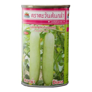 เมล็ดพันธุ์แตงร้านลูกผสม ไดอาน่า ตราตะวันต้นกล้า