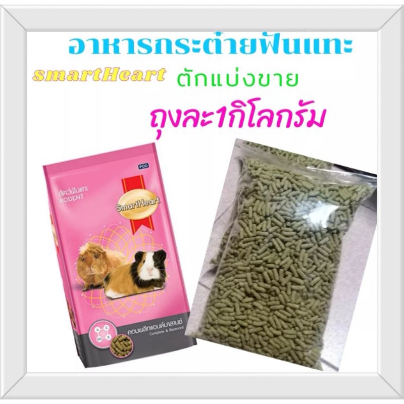 แบ่งขาย อาหารหนูแก๊สบี้​ ขนาด​ 1​ kg.​