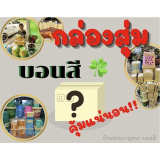 กล่องสุ่ม บอนสี เกินคุ้ม