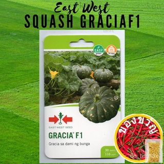 East West EASTWEST SQUASHเมล็ดGracia F1 KALABASAกระเป๋าคื่นฉ่าย/ดอกทานตะวัน/สวน/ผักกาดหอม/แม่และเด็ก/เมล็ด/เสื้อ/มะละกอ/