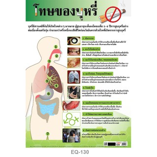 โปสเตอร์ โทษของการสูบบุหรี่ #EQ-130 โปสเตอร์กระดาษอาร์ตมัน สื่อการเรียนการสอน สื่อการเรียนรู้