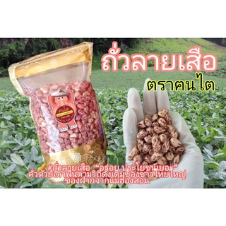 ถั่วลายเสือแม่ฮ่องสอน ตราฅนไต  500 กรัม