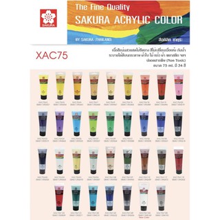 สีอคิลิค (Acrylic) SAKURA (สีชุดที่1) สีเบอร์#2-#39