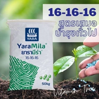 ปุ๋ยเคมี 46-0-0 / 15-15-15 / 16-16-16 / 0-0-60 / 8-24-24 / 13-13-21 / 18-46-0 / 21-0-0 ของเเท้คุณภาพดี