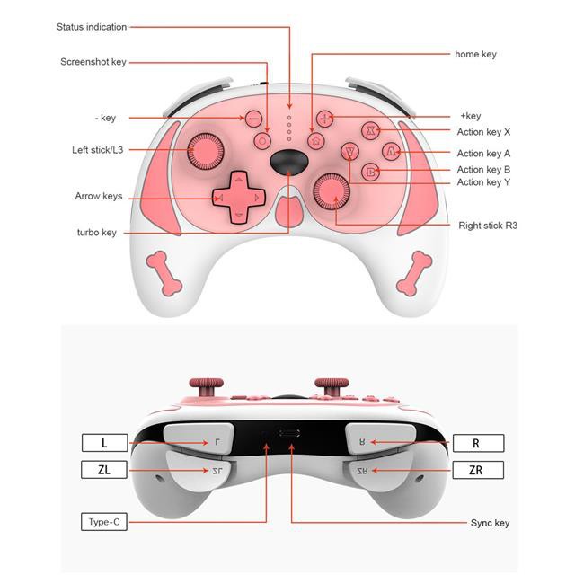 超ポイントバック祭】 Switchライト 携帯用ゲーム機本体 - sanatangyanpeeth.in